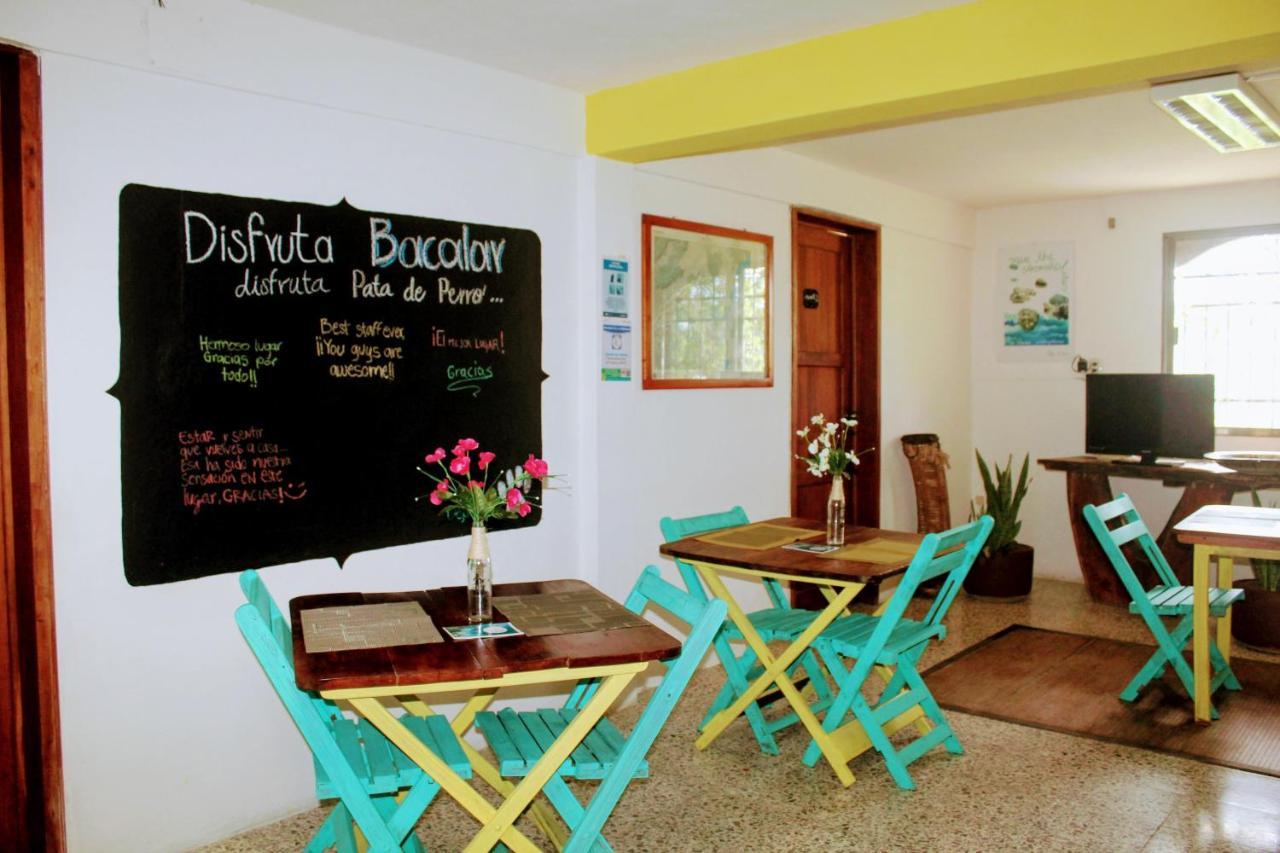 Hostal & Suites Pata de Perro Bacalar Exterior foto