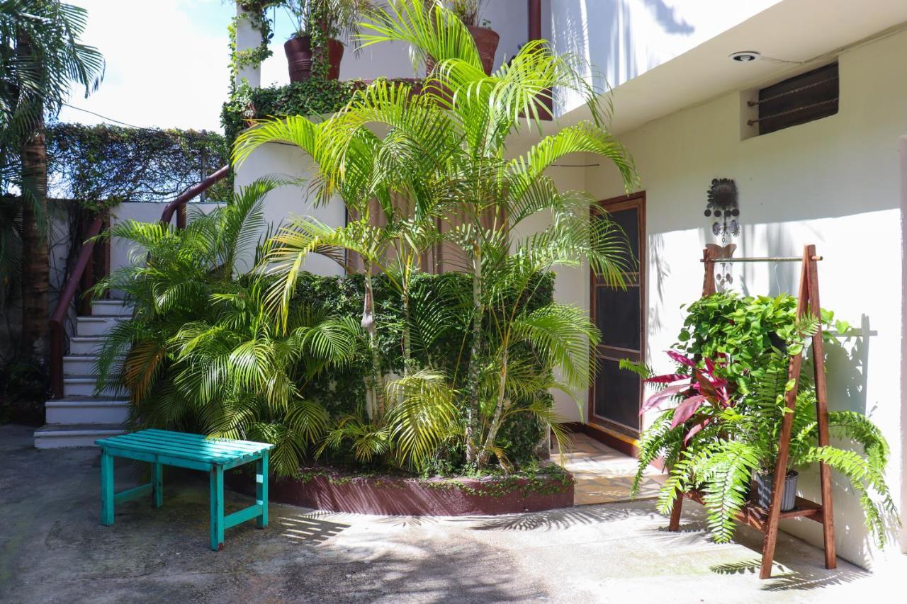 Hostal & Suites Pata de Perro Bacalar Exterior foto