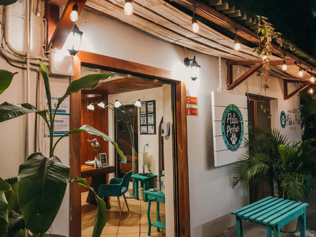 Hostal & Suites Pata de Perro Bacalar Exterior foto